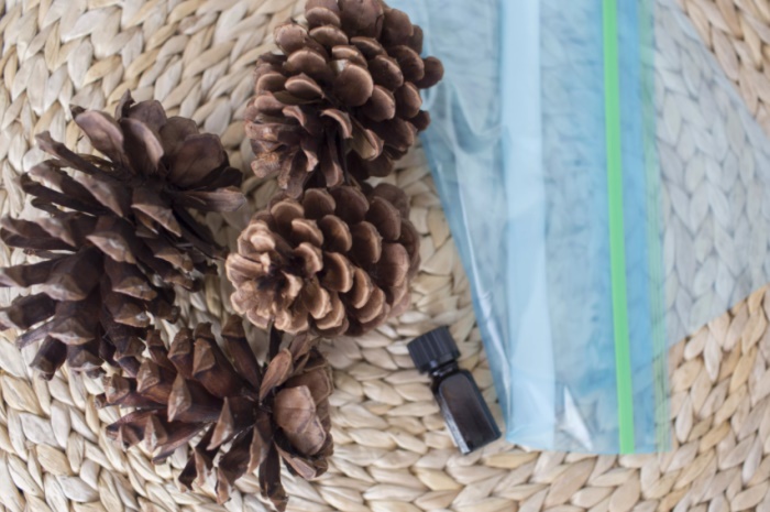 How to Make Scented Pine Cones With Essential Oils